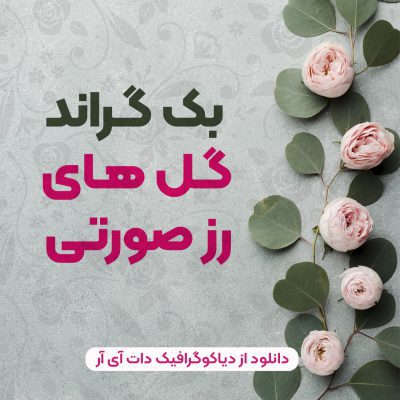 دانلود رایگان بکگراند گل های رز صورتی