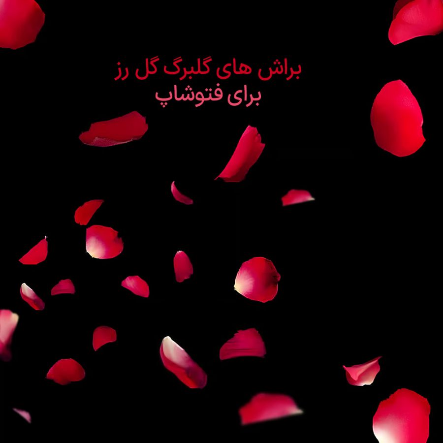 براش های گلبرگ گل رز برای فتوشاپ
