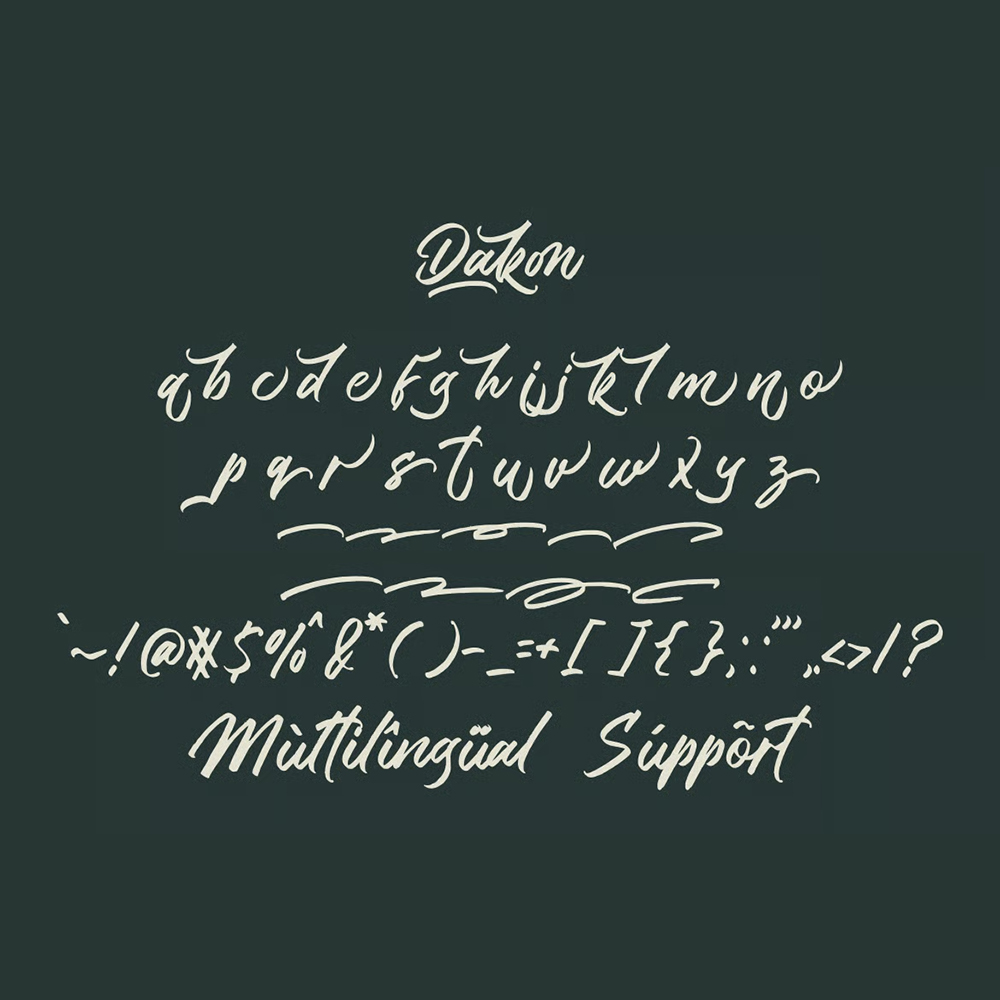 Dakon 2