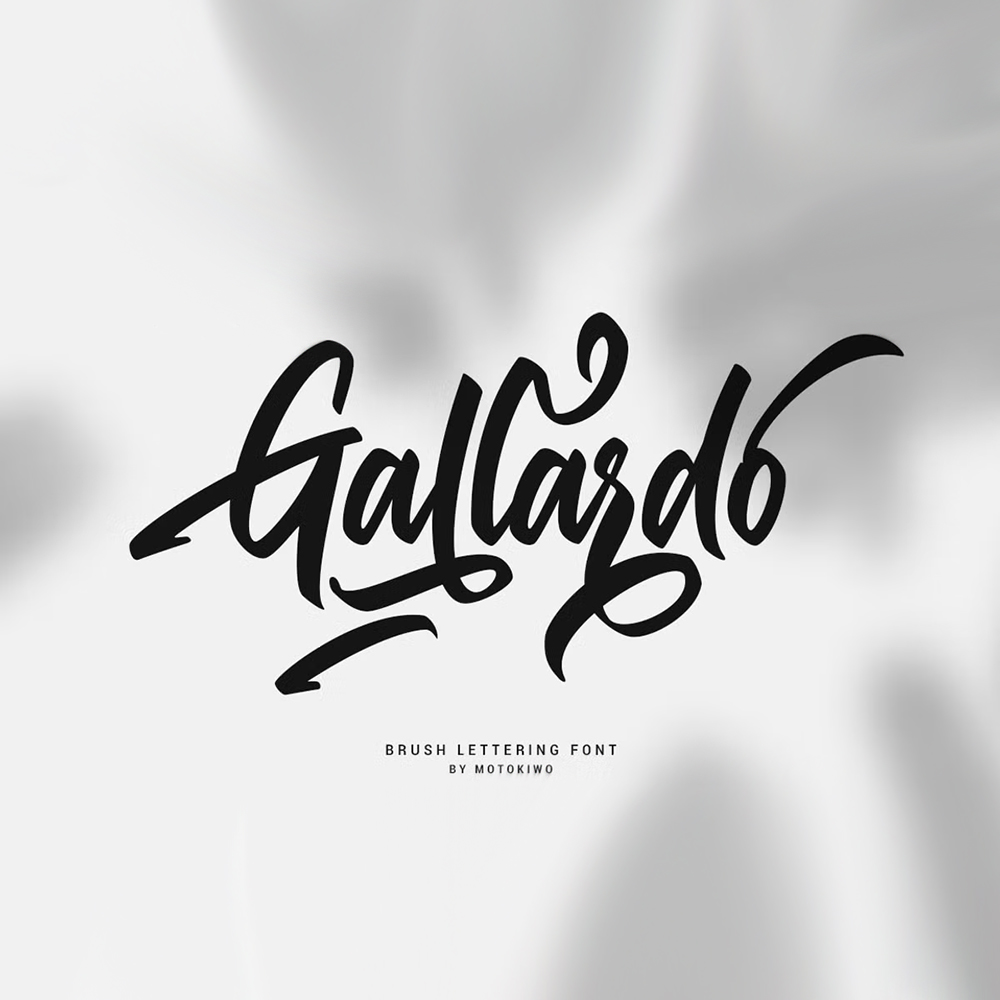 Gallardo 1
