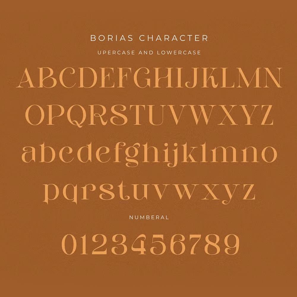 BORIAS 2