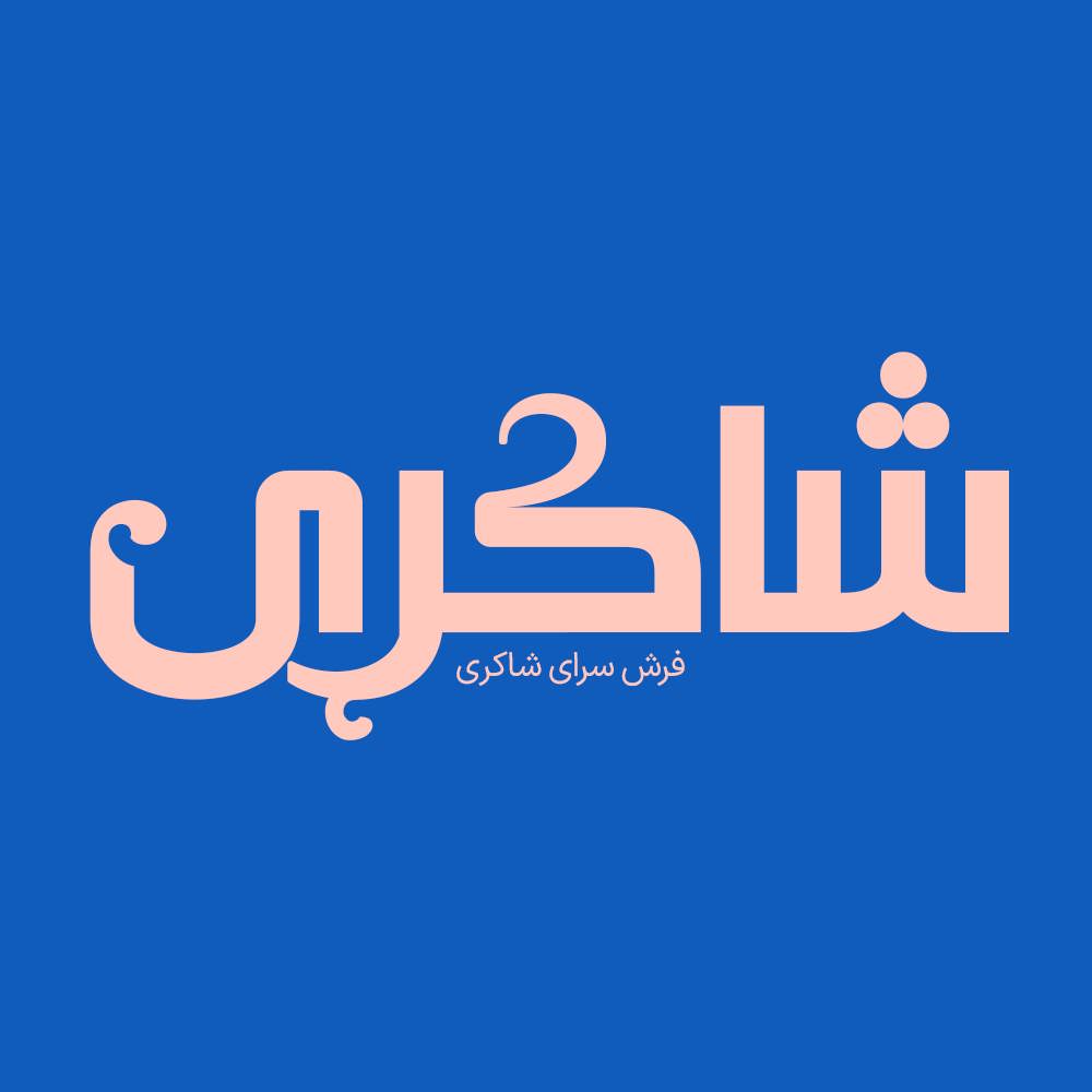 Payesh 3
