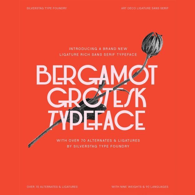 دانلود فونت انگلیسی Bergamot Grotesk Font
