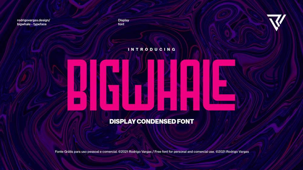 Bigwhale 1